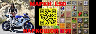прущие грибы Шахты