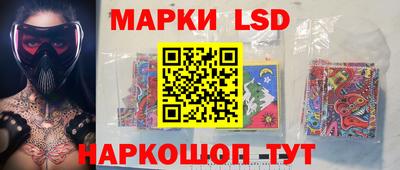 прущие грибы Шахты