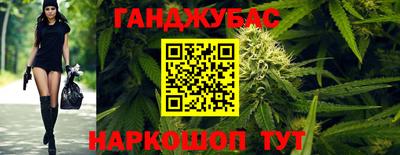 прущие грибы Шахты