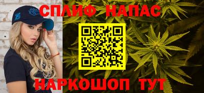 прущие грибы Шахты