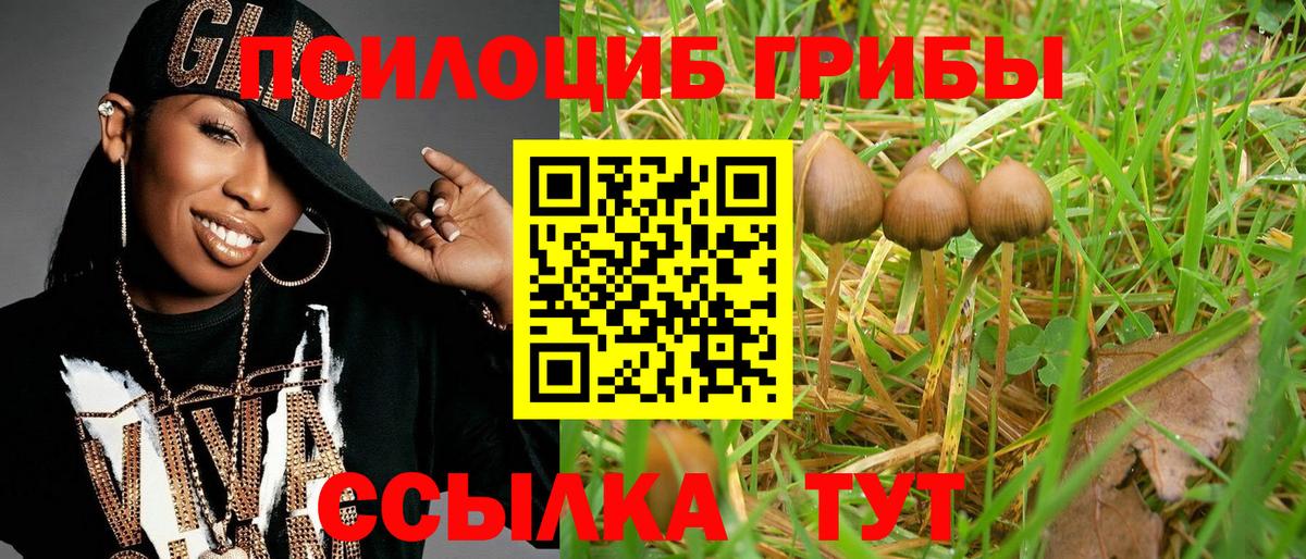 Галлюциногенные грибы MAGIC MUSHROOMS  Вход с VPN  Альметьевск 